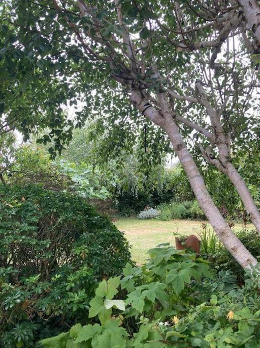 Holiday home La Maison Rose - Avec Grand Jardin Clos A 300m De La Hauteville-sur-Mer