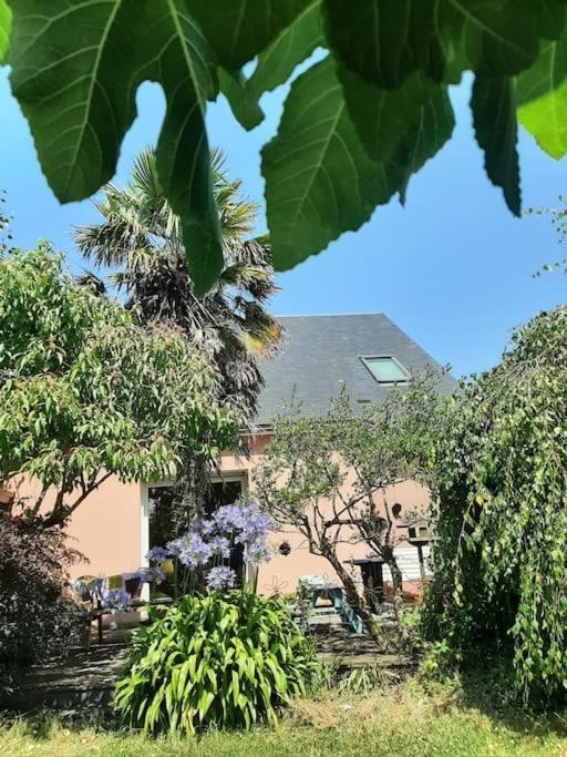 Holiday home La Maison Rose - Avec Grand Jardin Clos A 300m De La
