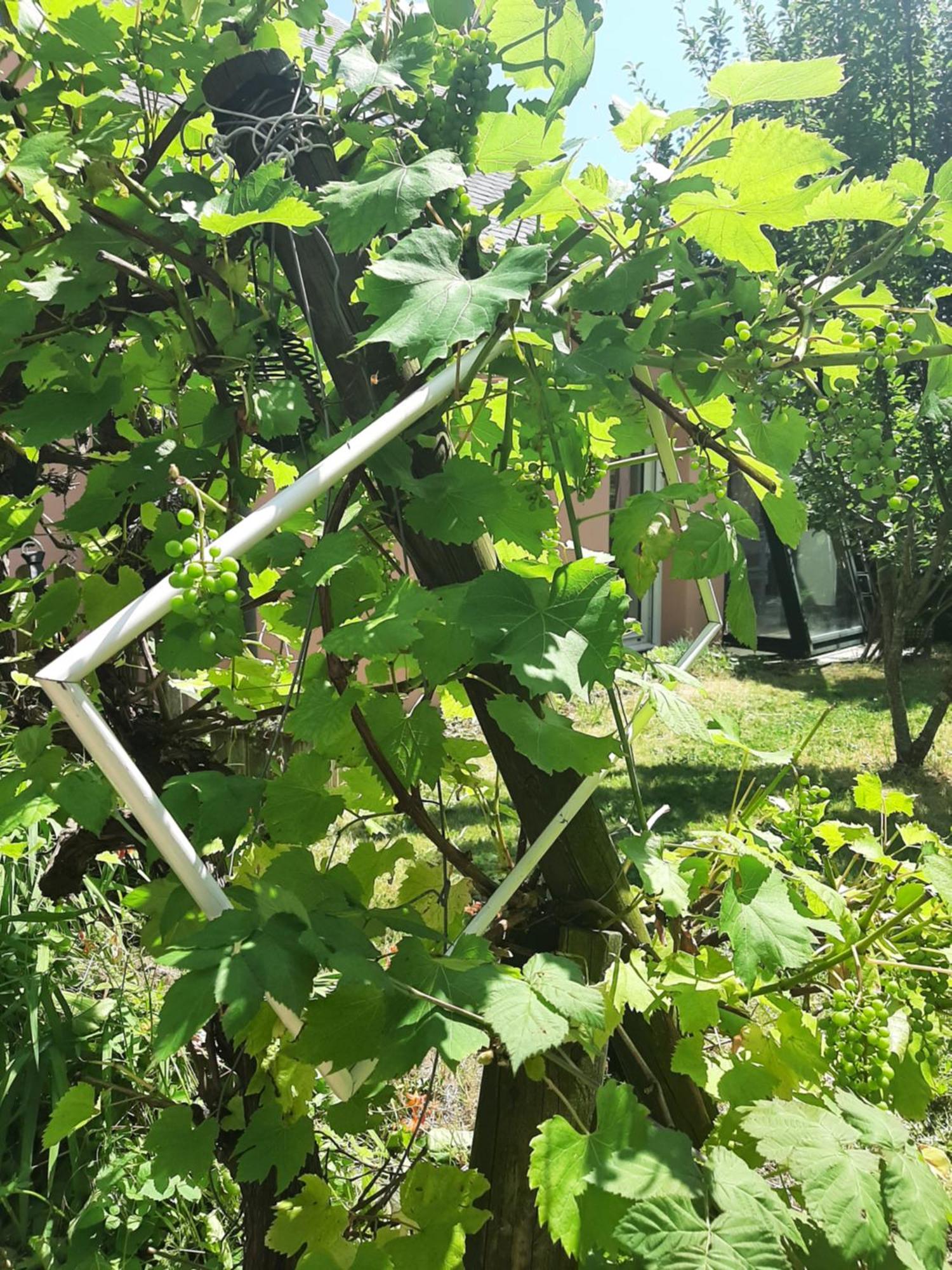 La Maison Rose - Avec Grand Jardin Clos A 300m De La *